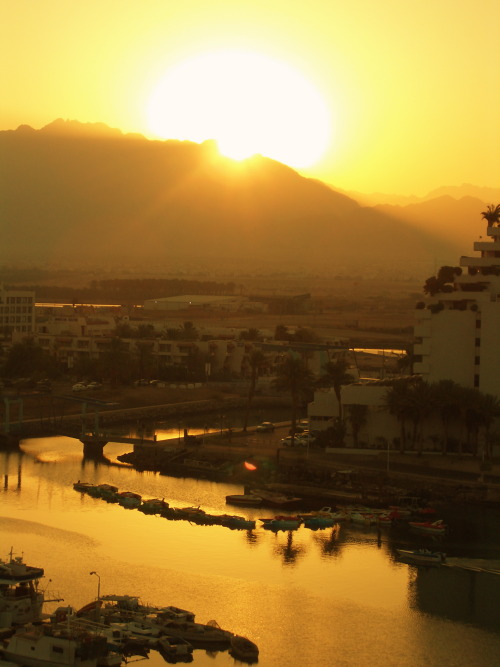 eretzyisrael: Twilight time in Eilat, Israel.