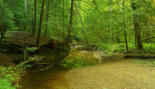 Slippery Rock: Serene water by Shahid Durrani