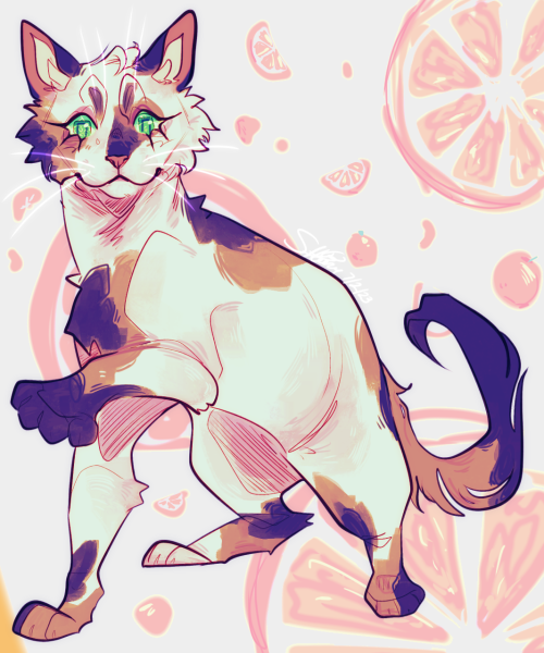 I Dont Even Know If Tumblr Is A Good Site For This But I'm Out Of Options! So: