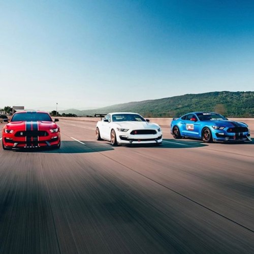 musclefords:  #ford#Mustang#SVT#Shelby #AmericanMuscle tag 👉#American_muscle_mustangs 🇺🇸💪/ via @j.vizualz / @miss350_ / @tswedensky / @hansologt350r / Happy bday 🇺🇸🇺🇸🇺🇸🇺🇸https://www.instagram.com/p/BzgLL-CJJzV/?igshid=7qe74zi52ahm