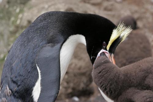 Are we feeding the baby or eating the baby?