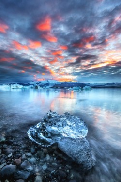 expressions-of-nature:  by Luca Micheli