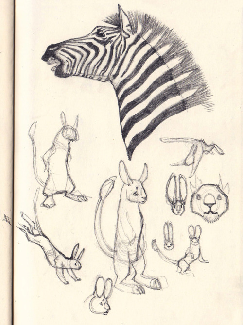 michelleweaverart: Zebra study from photo, and a lion-rabbit creature I’ve been working on on 