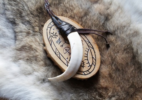 Wild boar tooh necklace. Only one avaiable at Loistu Crafts on Etsy!