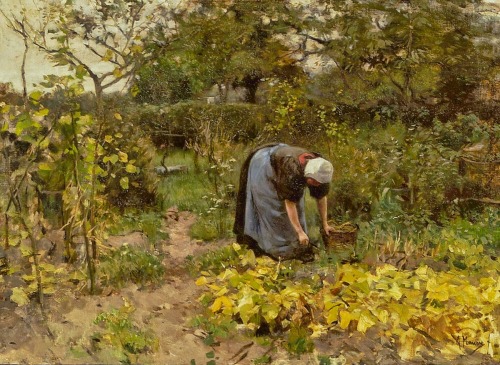 huariqueje:In the vegetable garden  -   Anton Mauve , c. 1887Dutch, 1838-1888Oil on canvas,  