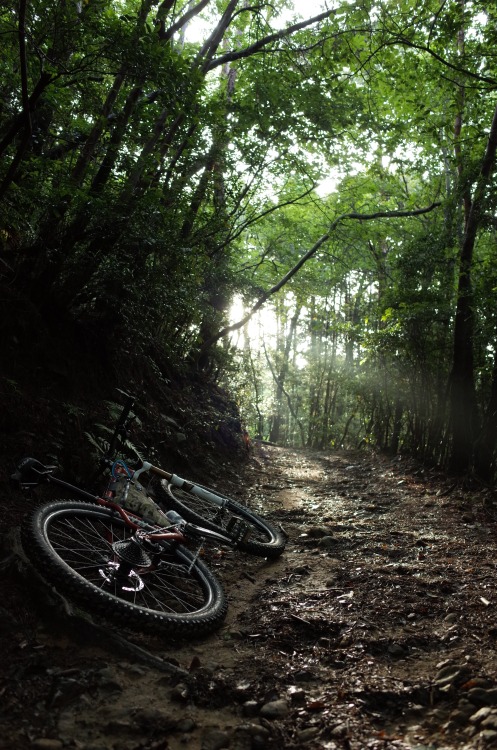 suruto: morning trail some time.@4ge0404 ’s bike.