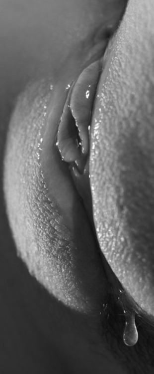 horny-israeli-wife:Reblog if you want to eat this pussy
