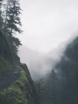 justinslens:  misty mornings 