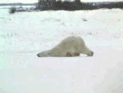 failsnet:  Tumblr Fails.net - Monday Morning
