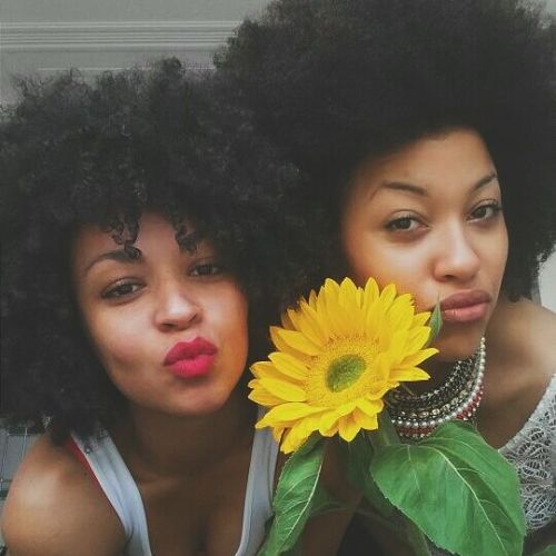 naturalhairqueens: Sun flower beauties