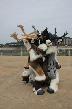 Triple caribou sandwich werewolfsource &lt;- lots more pictures of them too ;_;