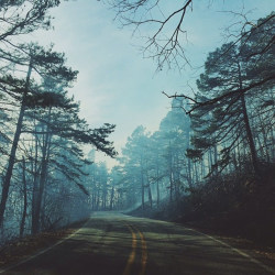 brutalgeneration:  The fire seemed like fog (by brenton_clarke) 