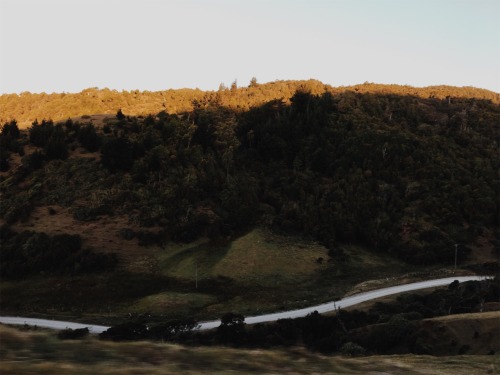 lagueltalmundo: Creado con VSCO® Pilolcura, costa Valdiviana, Región de los ríos, Chile.