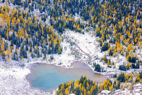 Aerial View of Schäffer Lake by jamesbian