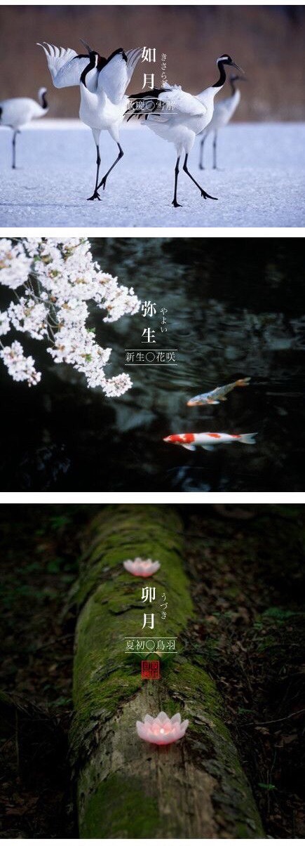 mmtki:  wanokokoro-japan:  日本别月 Japan Esthetics  2015-02-18 