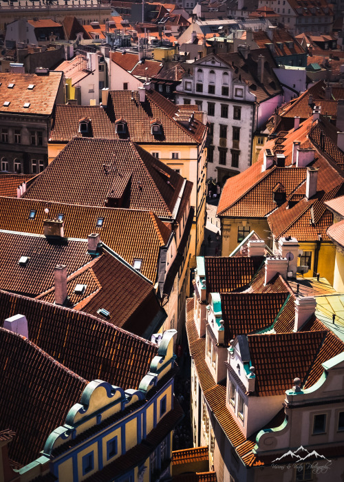visionsandvistas: Streets of Prague