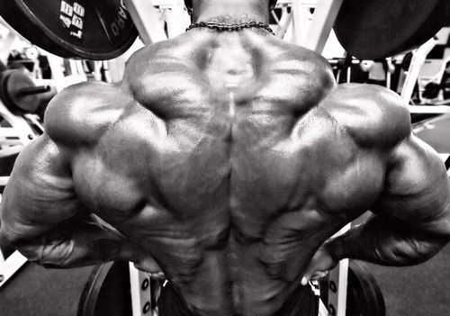   Ask any anabolic steroid user and the strong majority will tell you nothing on