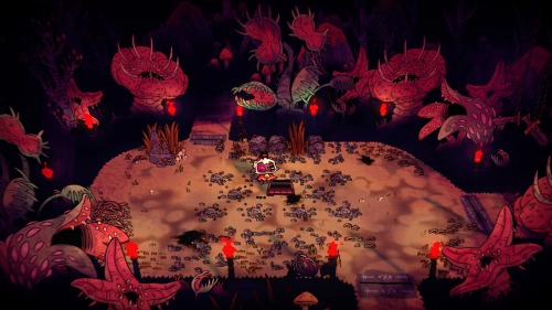 Some Post Game Darkwood And Anura