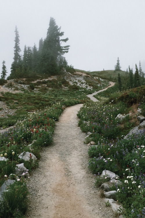 banshy: Paradise by Joe Dodd