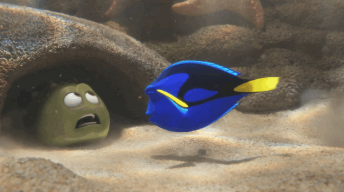 disney:  disneypixar:  No use poking around anymore. The new Finding Dory trailer is right under your gills!  Don’t be a slowpoke. Watch the Finding Dory trailer now!  