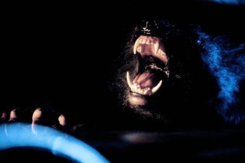 A few shots from behind the scenes of “The Howling”. #WerewolfWednesday She’s abou