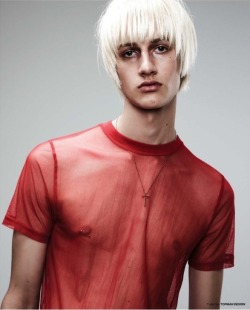 wikoni:  luke glazsher |w| essential homme |w| david