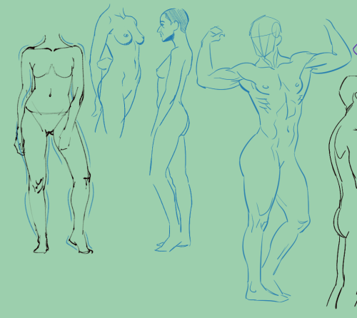 Let’s start the New Year with some anatomy studies!!