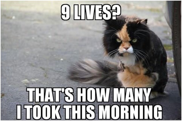 He made his quota before lunch