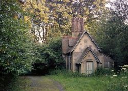 lunarsgarden:  forgedinmetal666:  theowlandthekey:  witches cottageOh to be a witch in the woods…  These rule  🌙