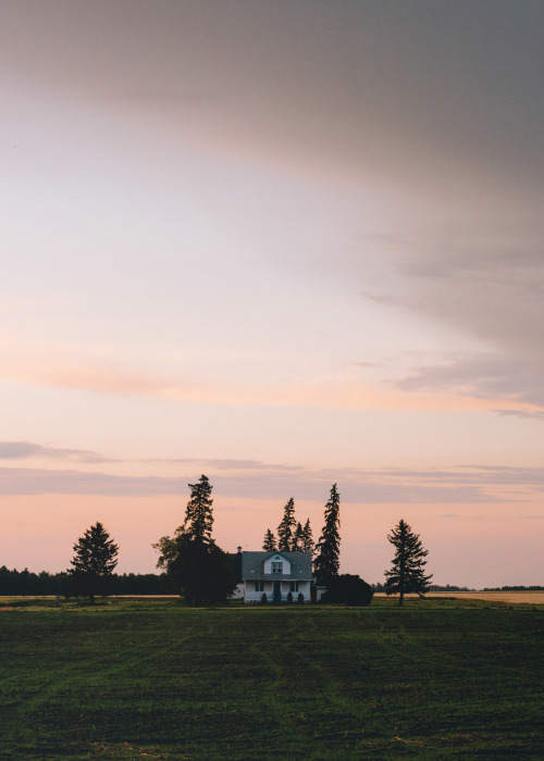 adm-kng:Sunset over Edmonton | instagram | flickr | prints