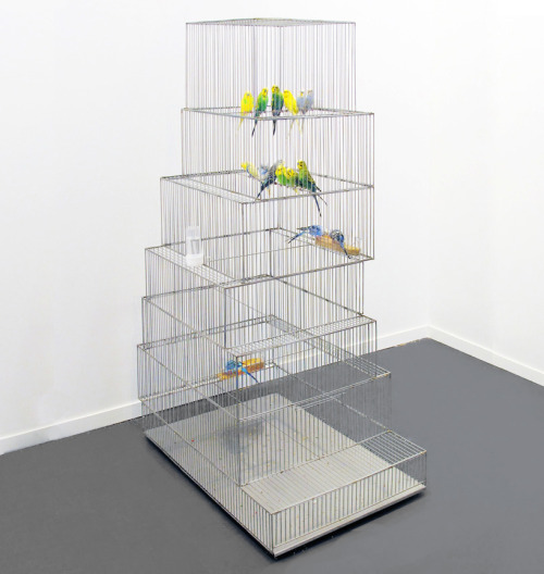 nyctaeus:  Museum Bird Cages by Marlon de Azambuja 1. Tate Modern, London 2. Guggenheim, New York 3. Sao Paolo Museum of Art [MASP] 4. New Museum, New York