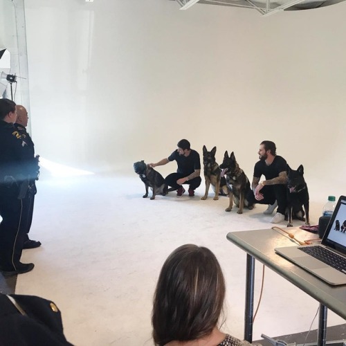 thedallastars: ellenkyhair: Behind the scenes with the #dallasstars and #dallaspd #k9unit ! Get read