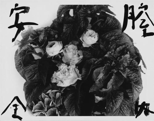 thinkingimages:Marvelous Tales of Black Ink by Nobuyoshi Araki