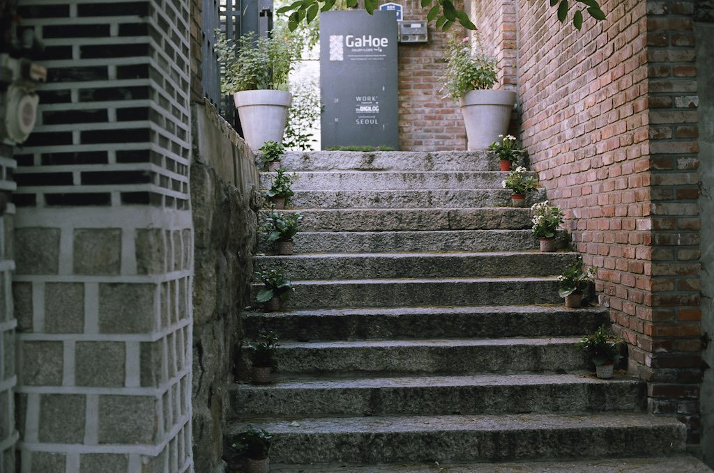 harukari:  potted plants (by happyflightsmile) 