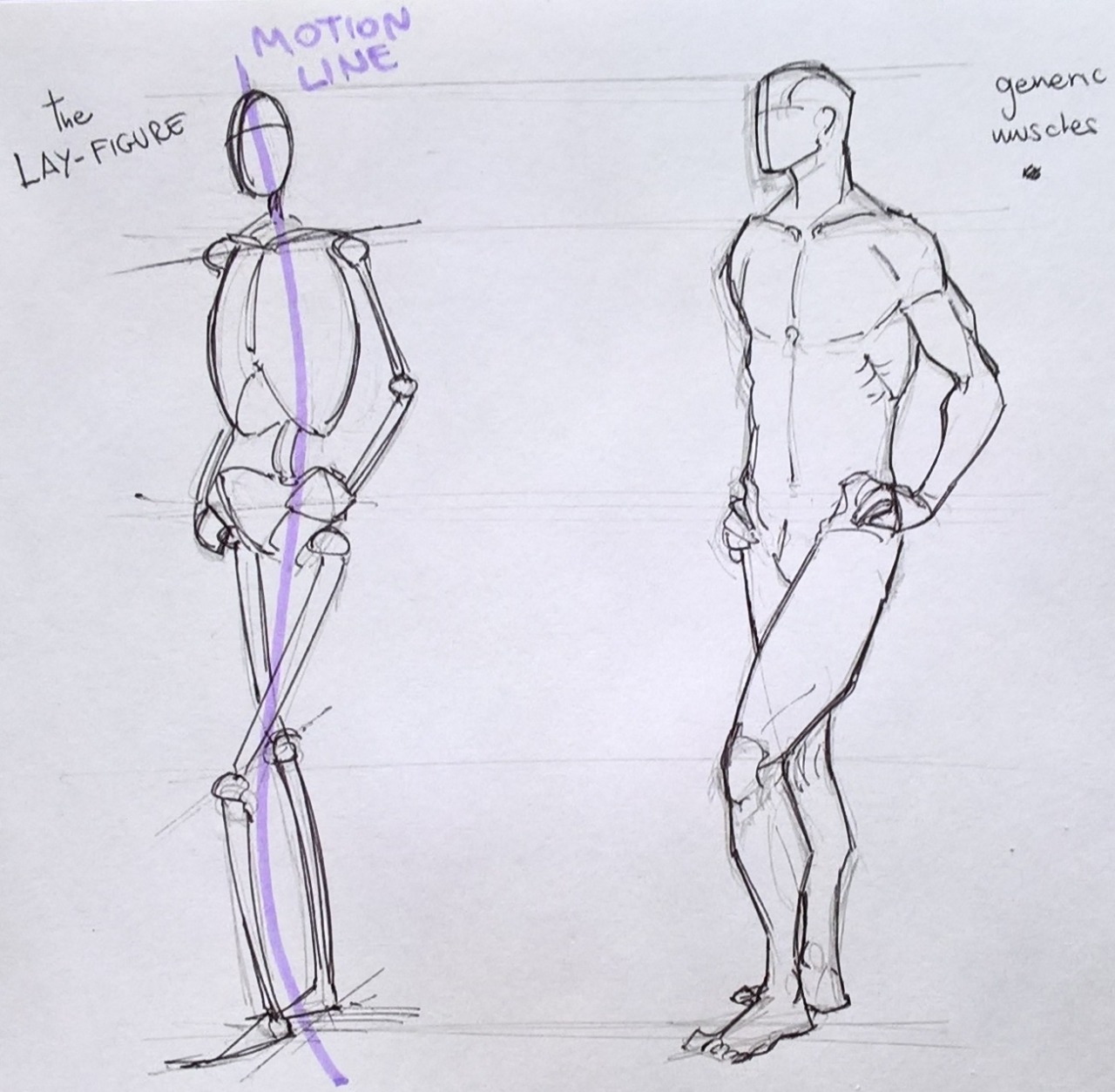 Old Anatomy Drawings: A Comprehensive Exploration Guide