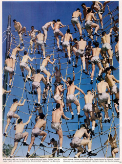 c86:  Cadets At Naval Air Station Corpus Christi, Texas, 1942Photograph by Dmitri Kessel