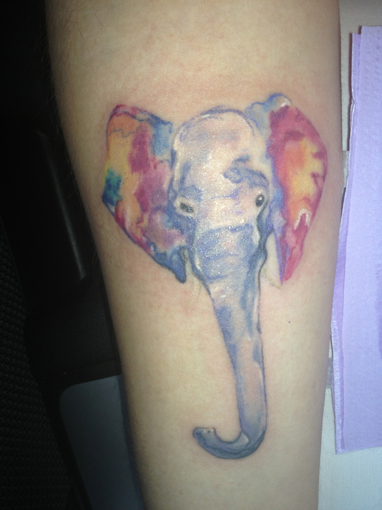 A splash of color to brighten up the day 🌈🐘 By @tattoosbylaineybee ... |  TikTok
