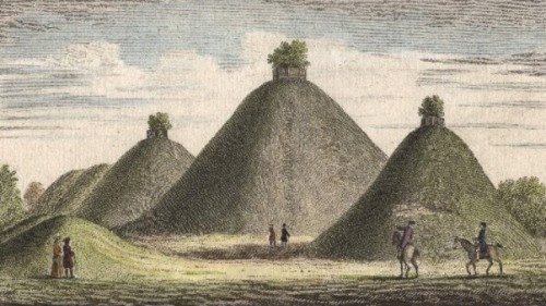 An artificial dwelling hill is a mound, created to provide safe ground during high tide and river fl