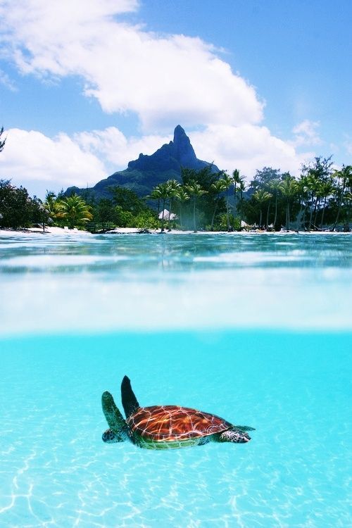 life1nmotion:  Travel with me…. 