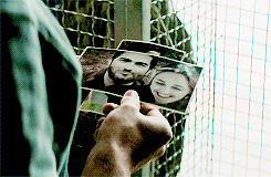 hoechlinteeth:Stiles and Derek both had romantic partners who were murdered by the same terrorist gr