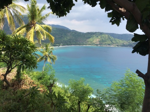 wend83:  Pic I took on holiday in Bali… ❤️