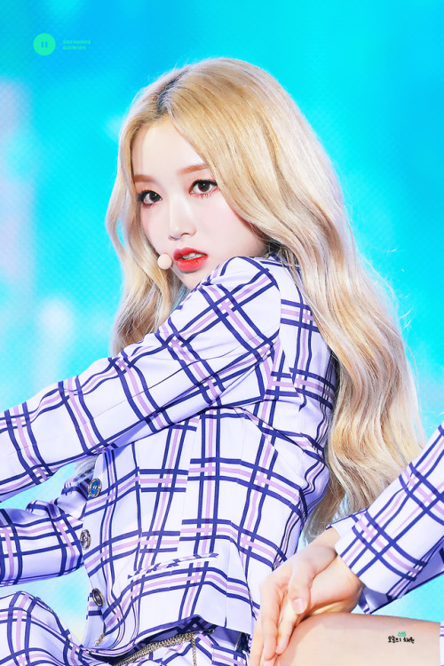 fyloona:do not edit. | 오늘의 채원 (1/2)