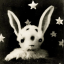 bigbunnybites