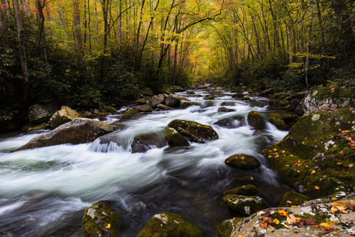 Big Creek by pvarney3 on Flickr.