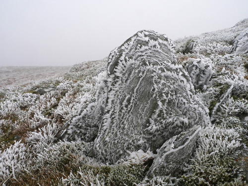 Ben Ledi ice crystals by Niall Corbet