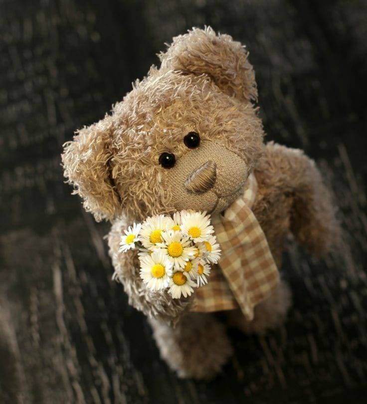 My teddy bear - Page 32 31dcaa498bbc289fa6948df8d49a4a749a429411