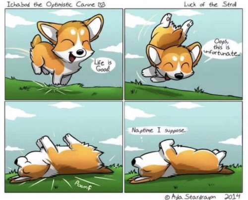 Reminds me of a certain upbeat, supersweet skunky X3
