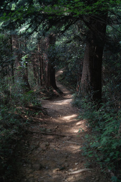 oh-haroo:  Follow me for more vertical nature