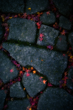 e4rthy:  Autumn Leaves by Lissajous 