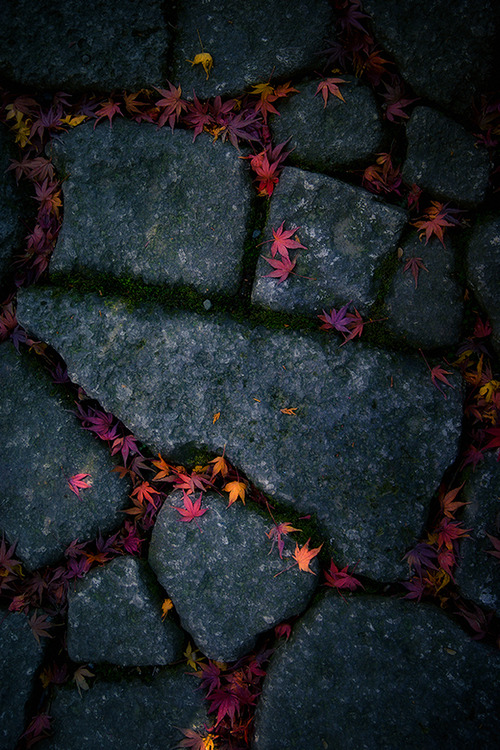 e4rthy:  Autumn Leaves by Lissajous